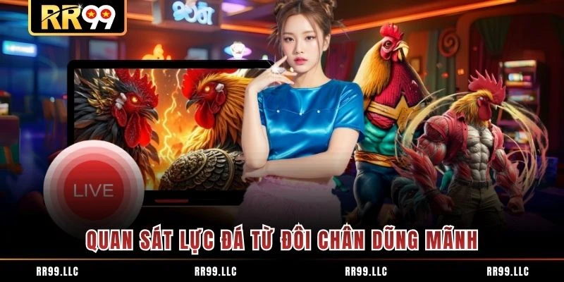 Quan sát lực đá từ đôi chân dũng mãnh