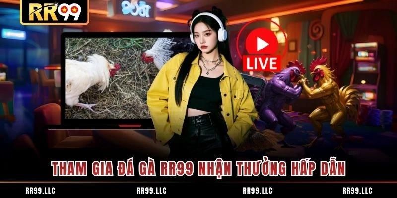Tham gia đá gà RR99 nhận thưởng hấp dẫn
